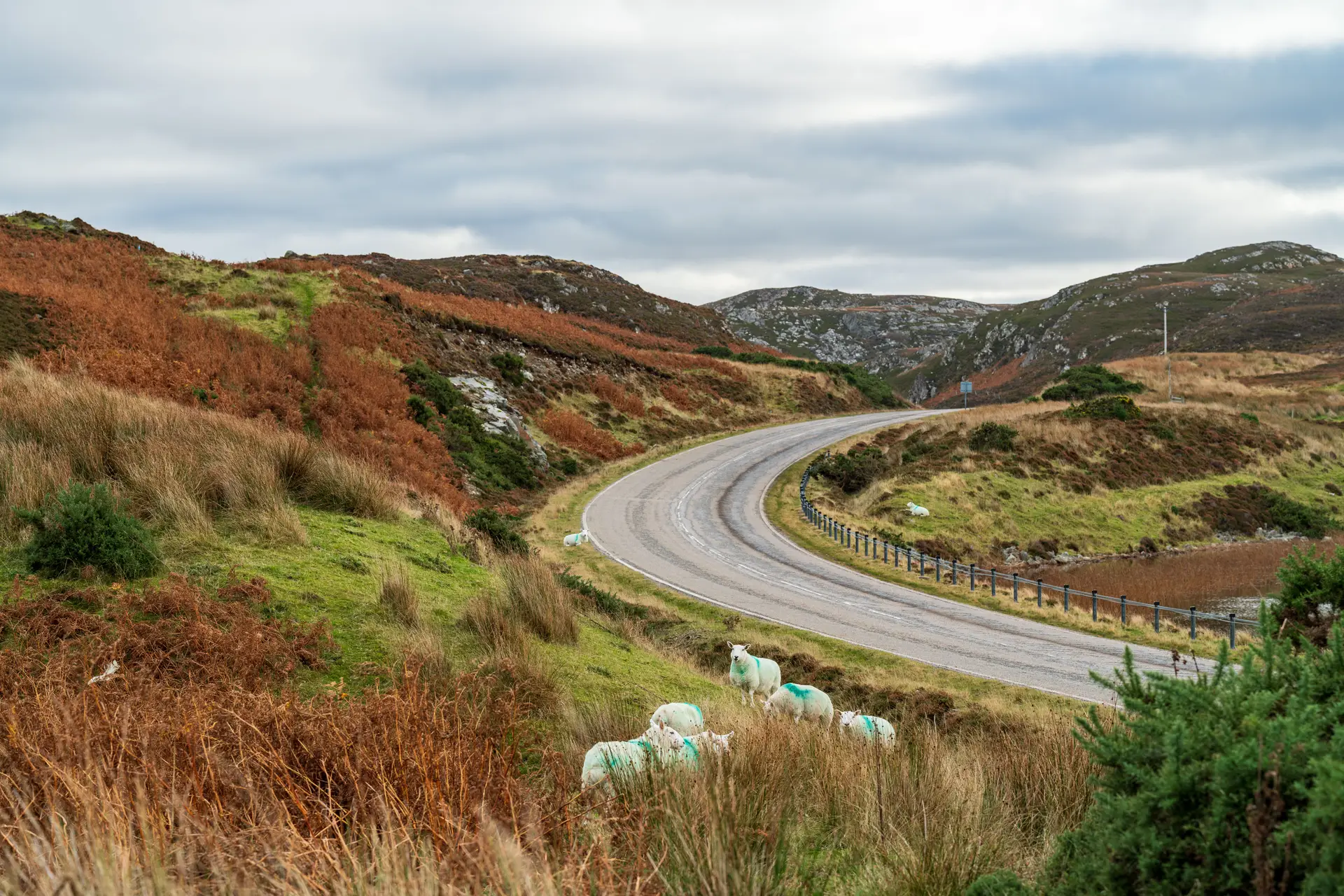 Winding single-track road across rolling moorlands