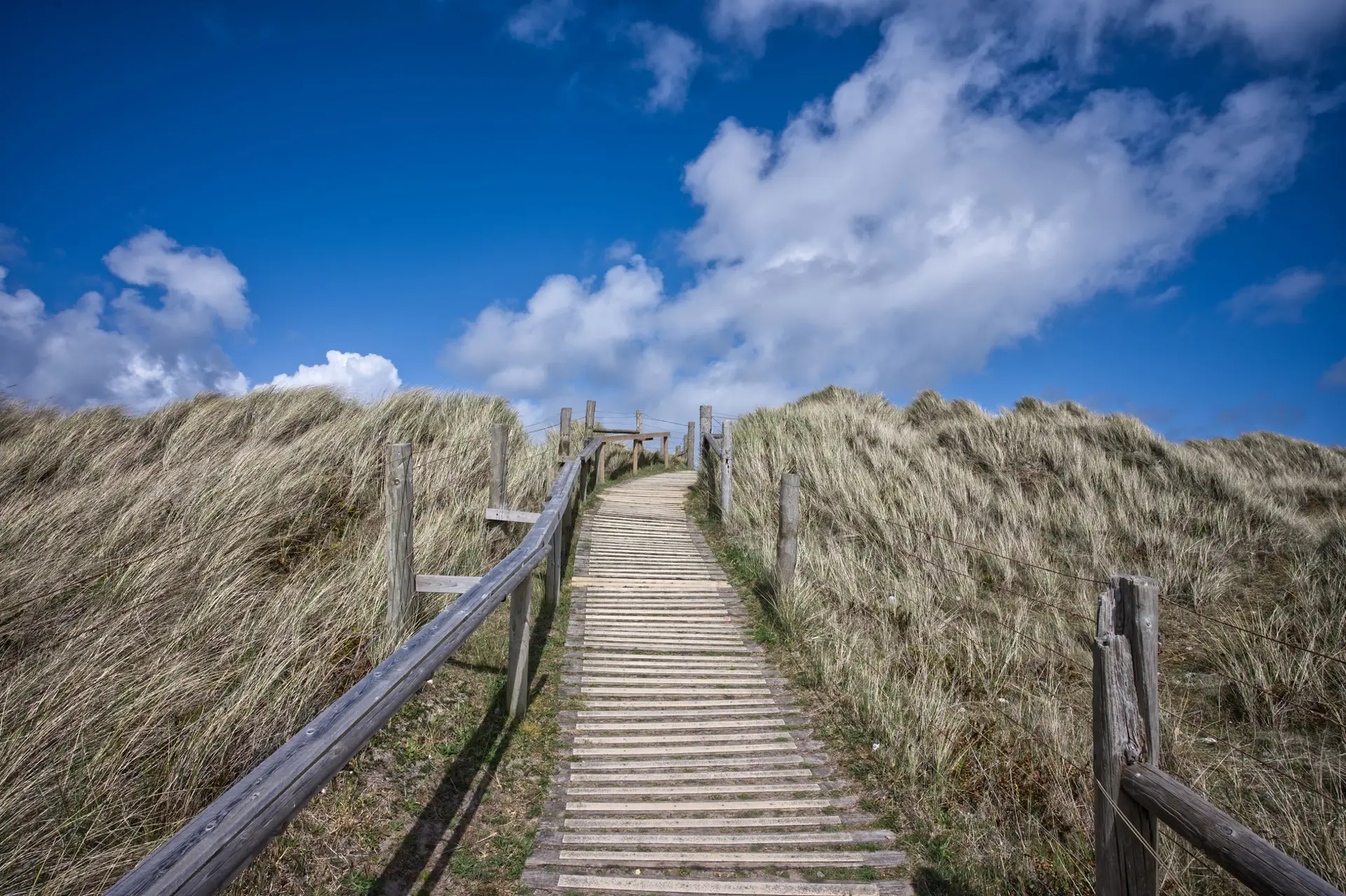 Wooden step-free coastal boardwalk path cutting through British natural reserve dunes