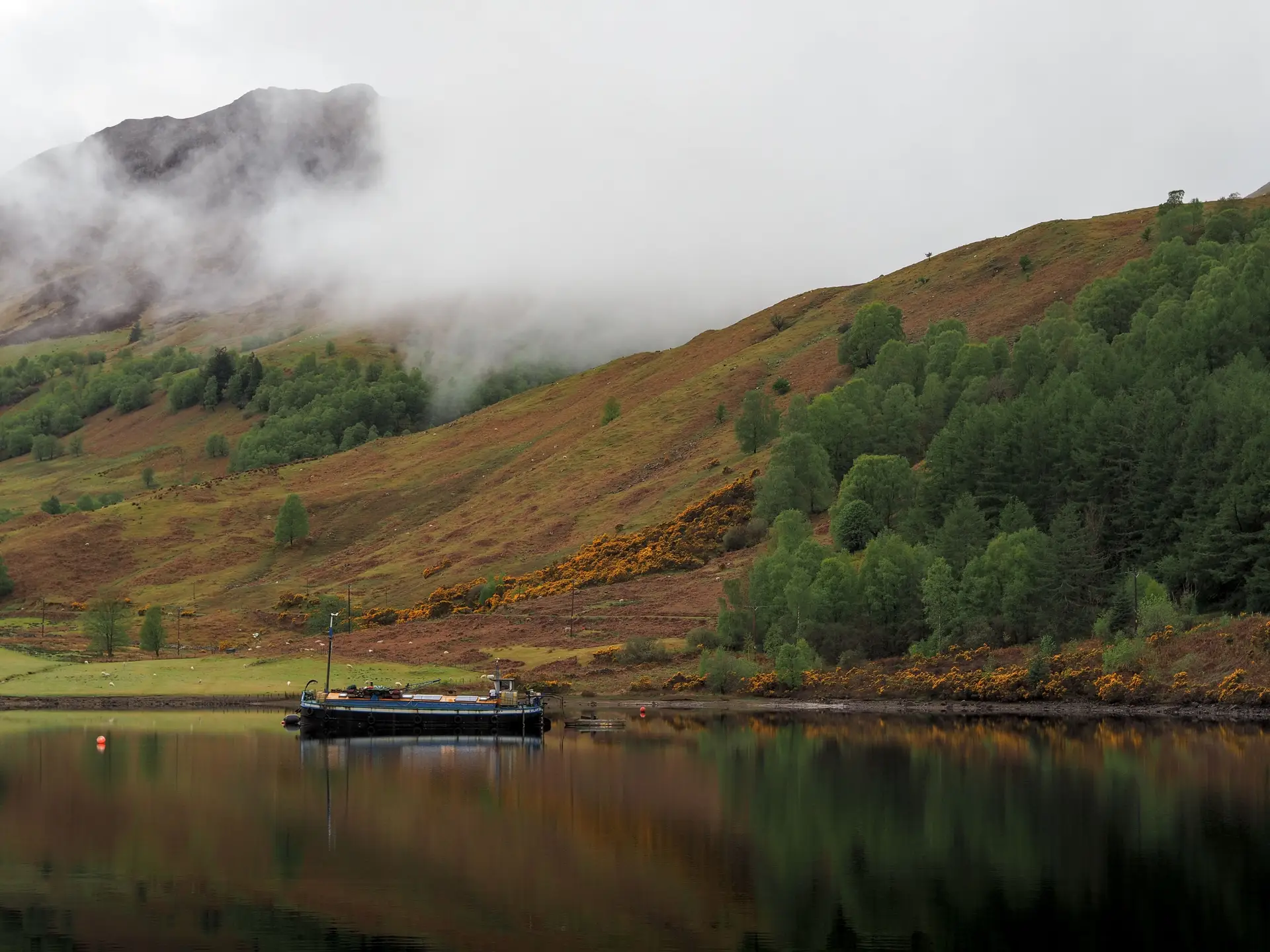 Tranquil morning mist reflecting over a Scottish freshwater loch