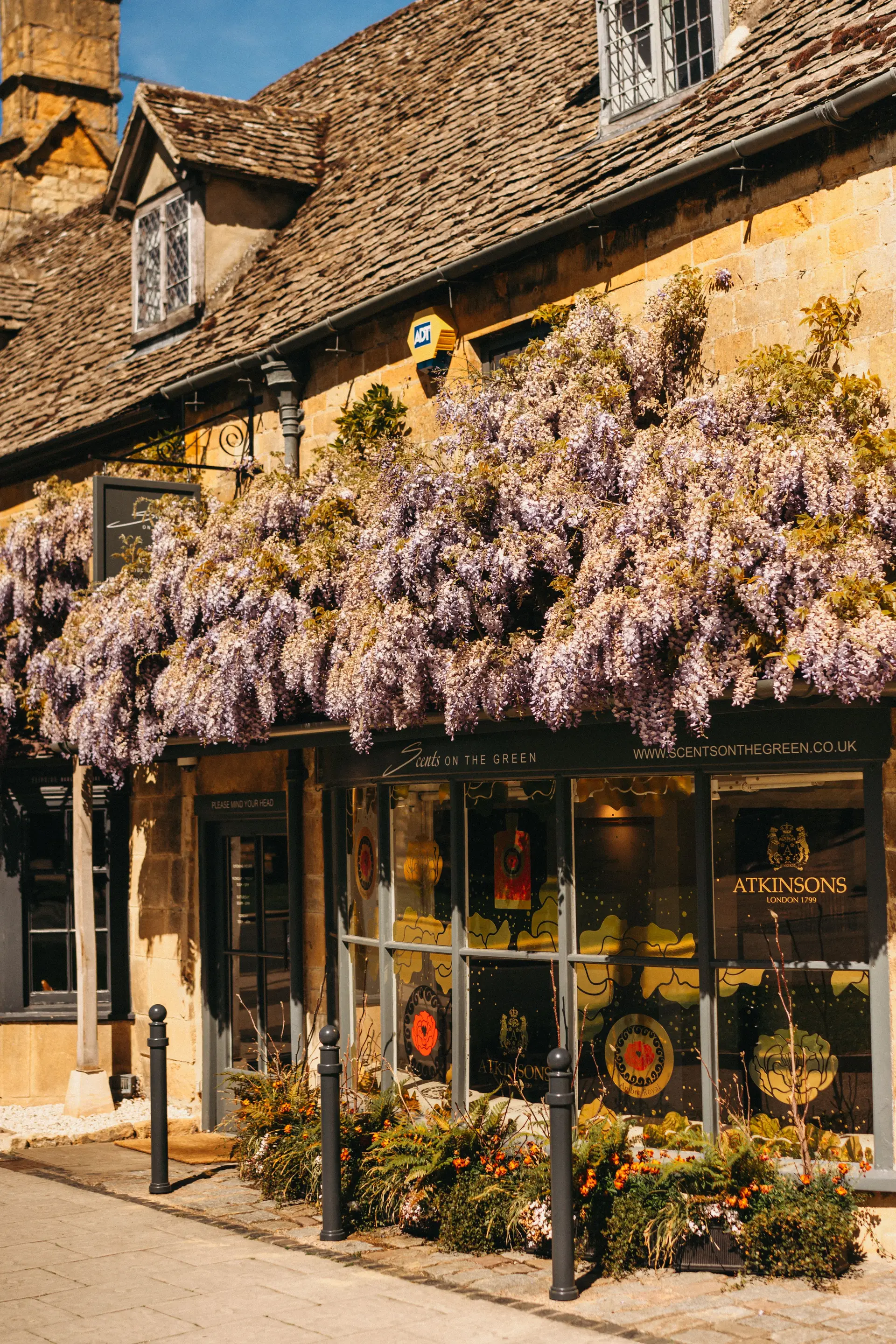 Historic countryside shopfront draped with blooming wisteria